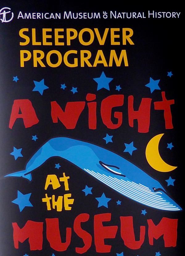 American Museum of Natural History Sleepover