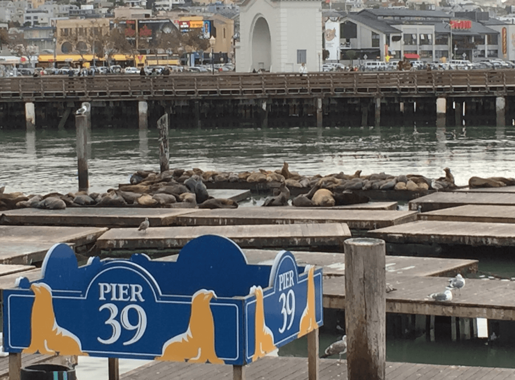 Family Friendly Attractions San Francisco