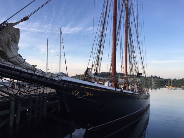 Sailing on the Bluenose ll