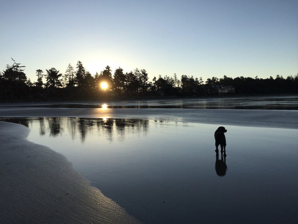 Ucluelet Beaches