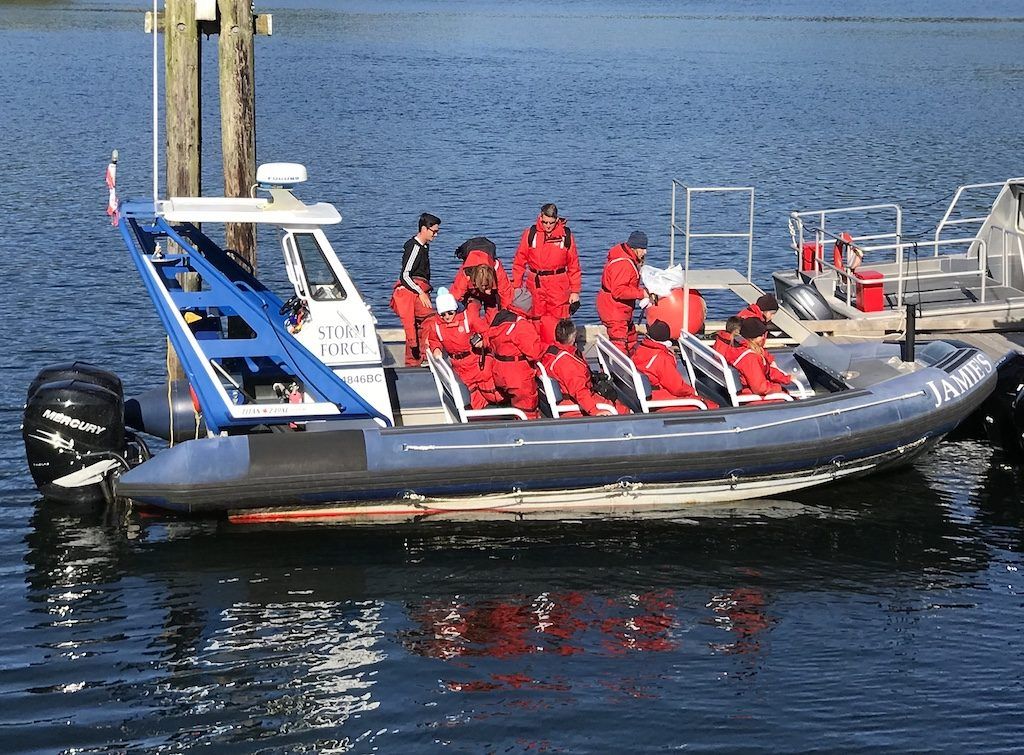 Whale Watching Ucluelet