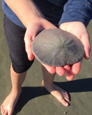 Tofino with toddler