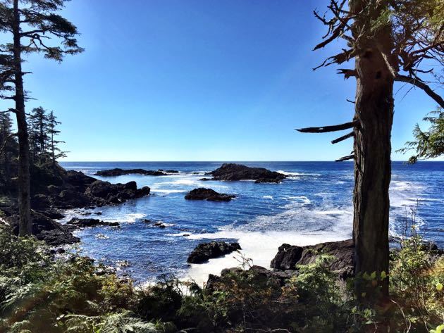 Things to do in Ucluelet