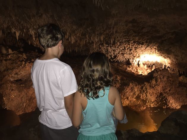 Best Attractions for Kids Barbados