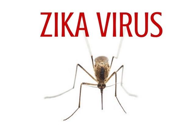 Zika Virus - What Family Travelers Should Know - pint size pilot ...