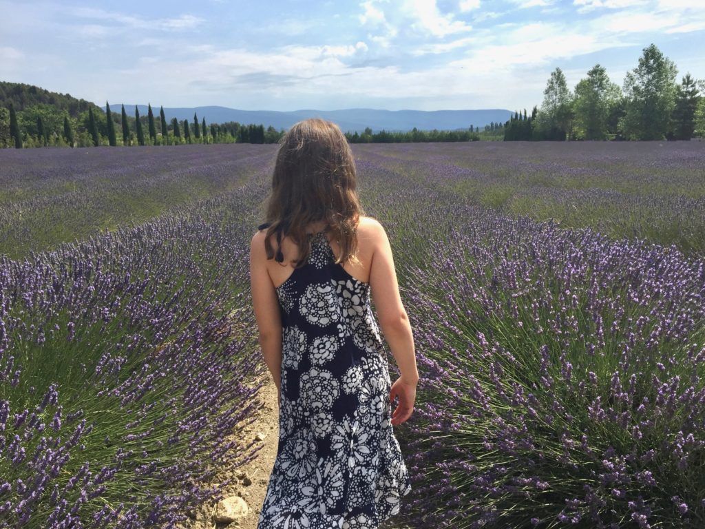 France with Kids - Provence Lavender Fields
