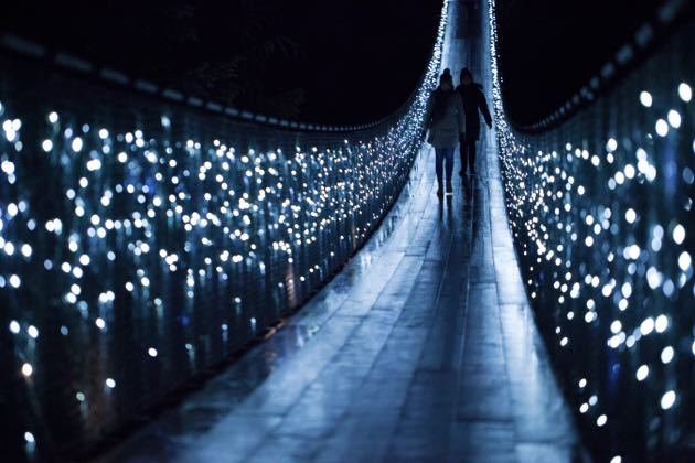 Canyon Lights at Capilano Suspension Bridge