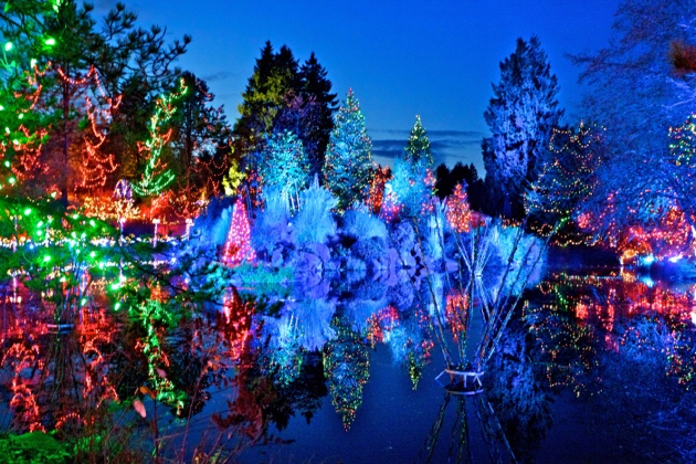 Van Dusen Festival of Lights