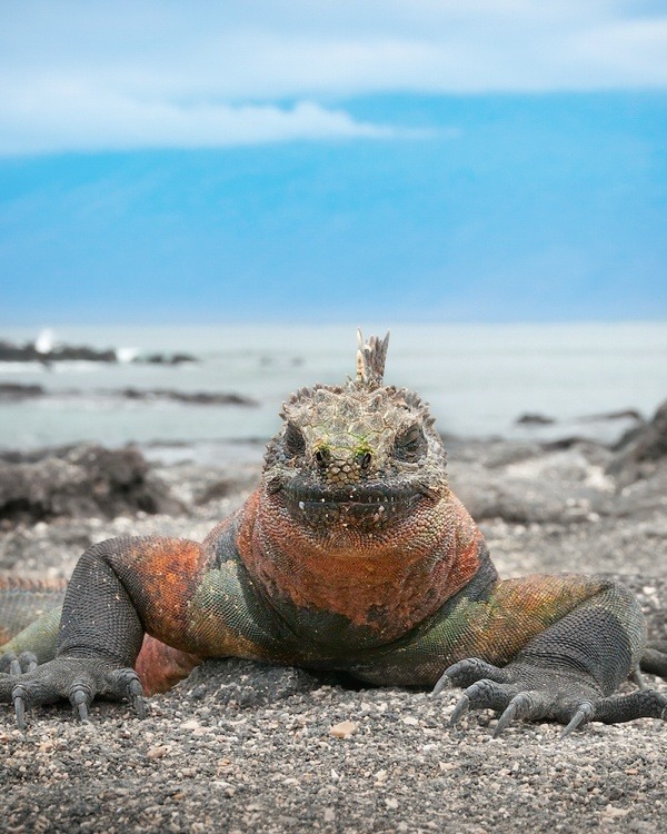Galapagos Islands with Kids
