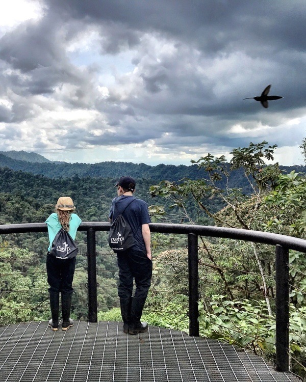 Mashpi Lodge – Spectacular Cloud Forest Lodge Ecuador