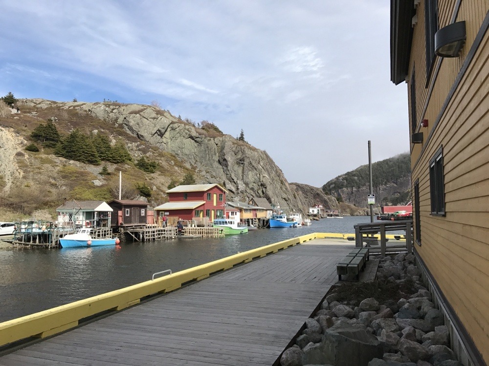 Quidi Vidi