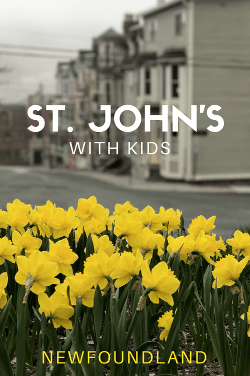 Things to do in St. John's Newfoundland with Kids