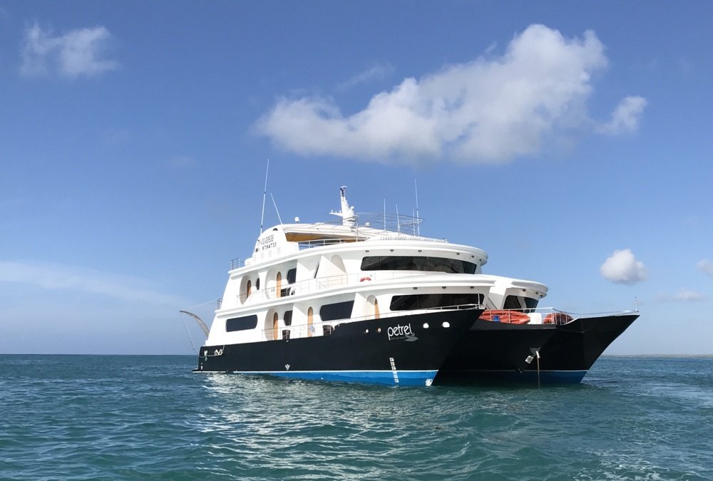 luxury family cruise galapagos