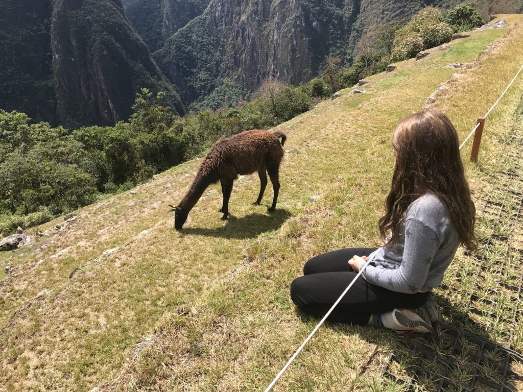 Machu Picchu with Children