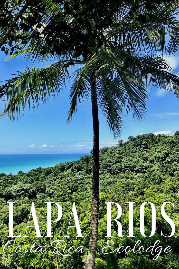 Lapa Rios Ecolodge – A Beautiful Rainforest Eco Lodge Costa Rica