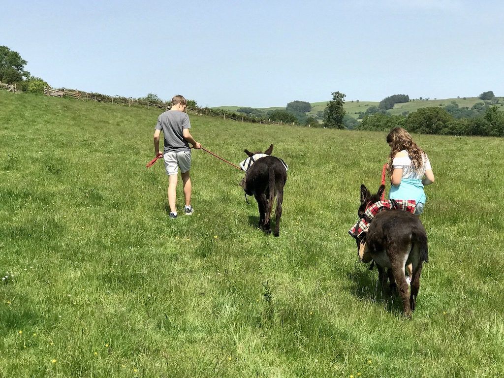 Donkey Walk in Brecon Beacons Wales 