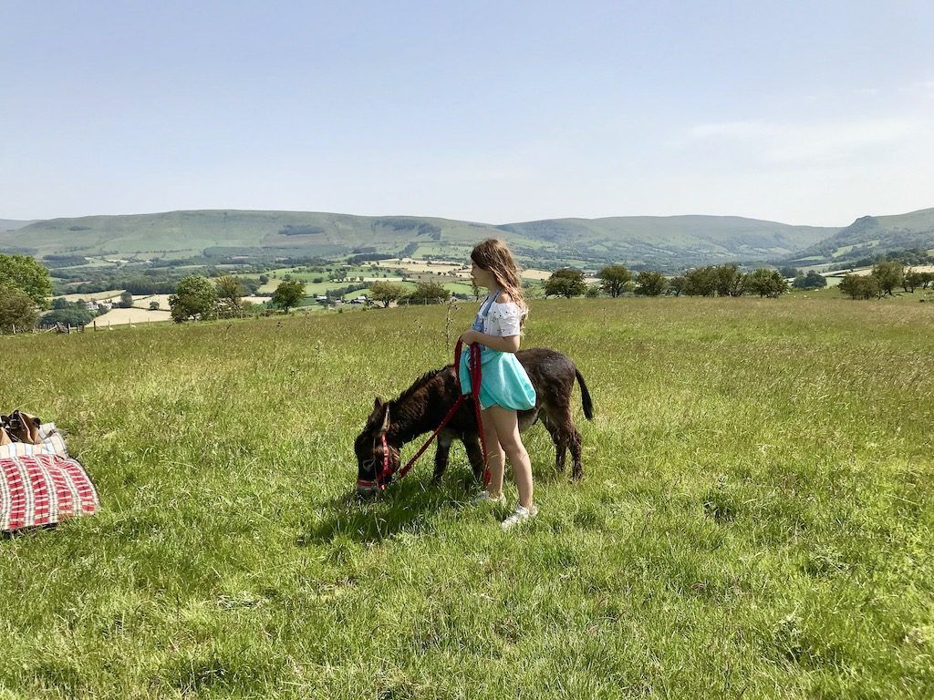 Picnic in Brecon Beacons with Donkey