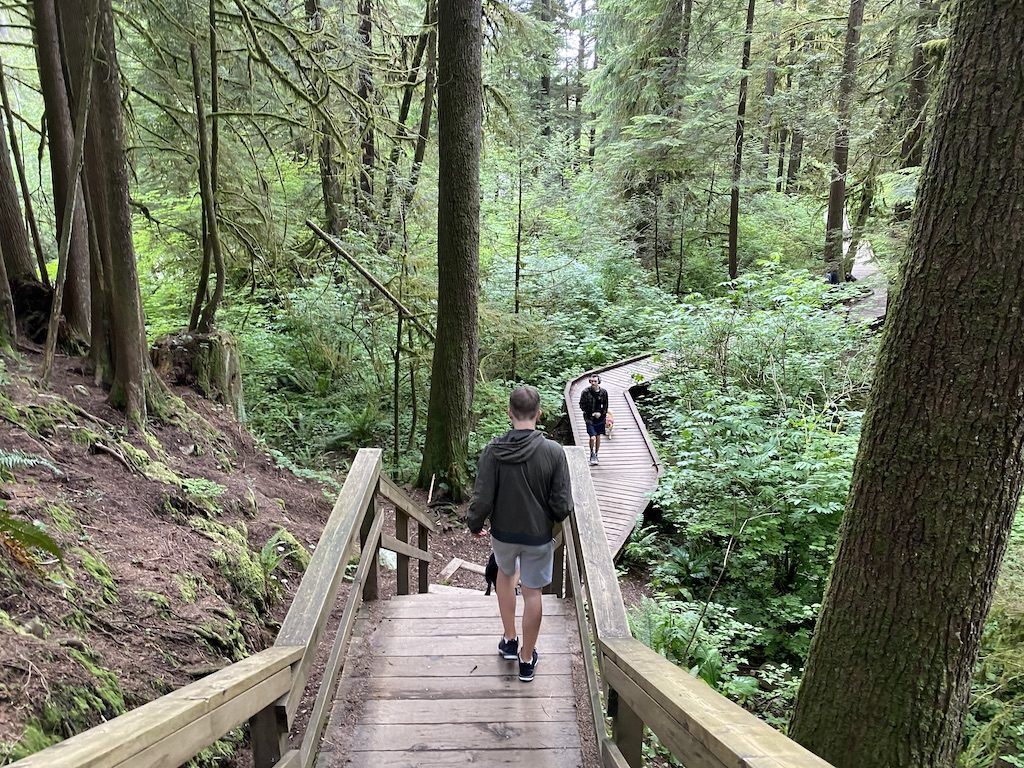 Lynn Loop – Hikes Around Vancouver