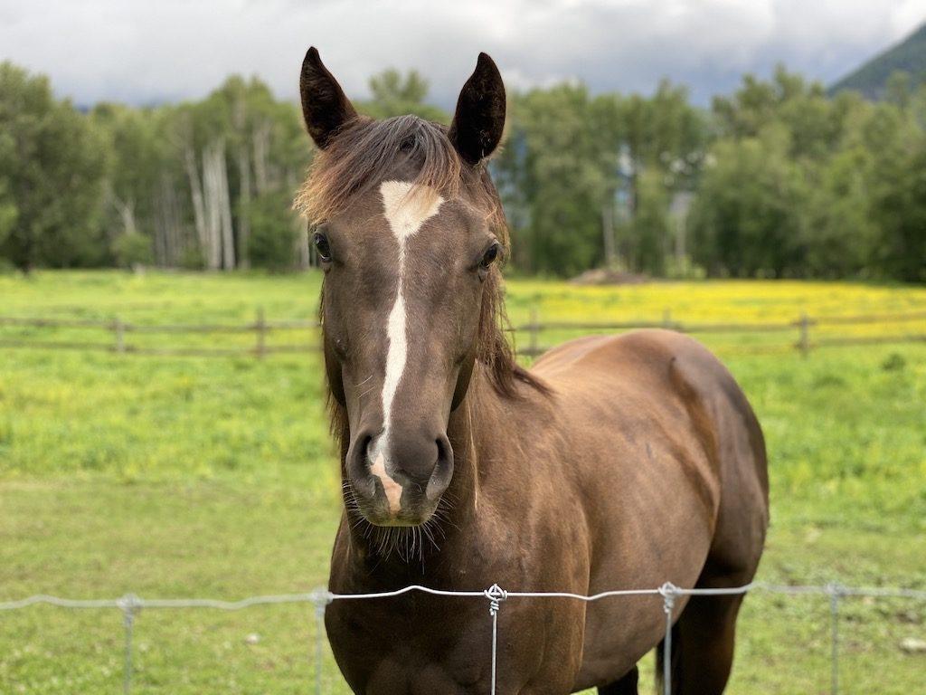 Bull River Guest Ranch