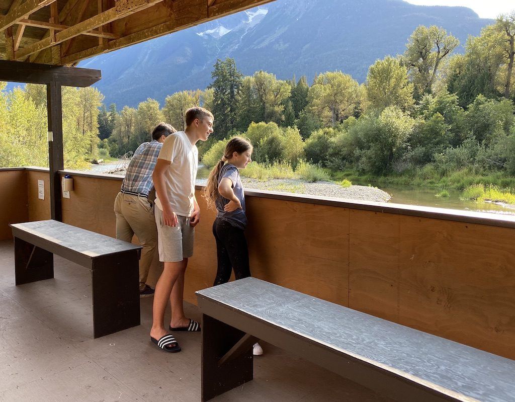 Grizzly Bear Watching at Tweedsmuir Park Lodge – Bella Coola, B.C.