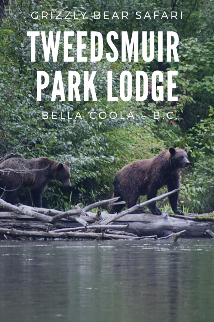 Tweedsmuir Park Lodge – Grizzly Bear Watching Tours
