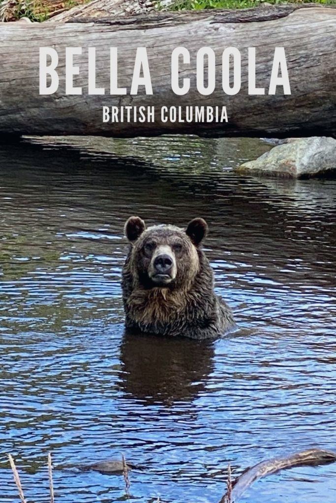 Bella Coola Bears – British Columbia Bear Watching