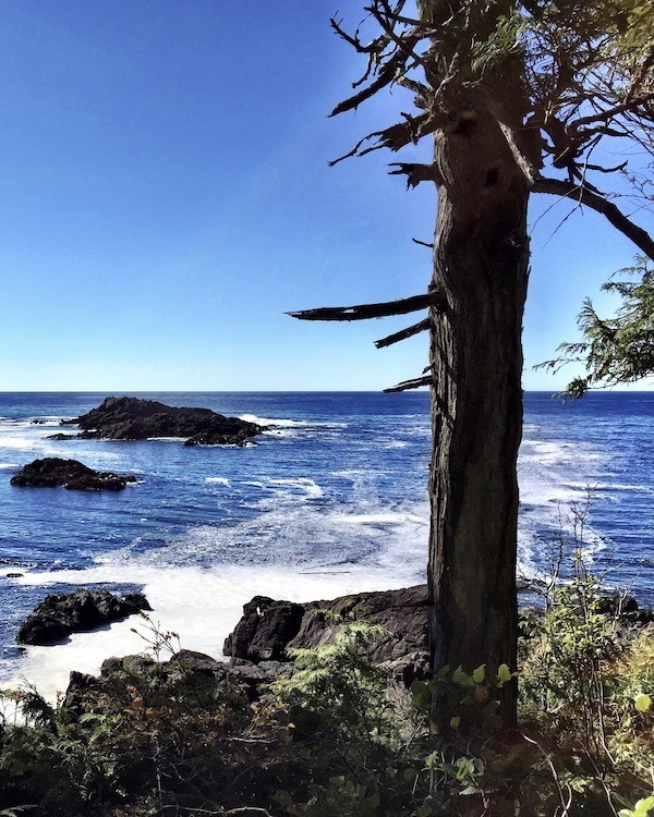 Accommodations in Ucluelet