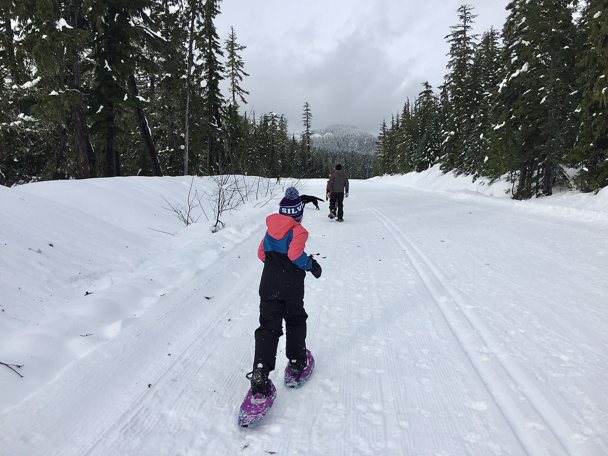 Snowshoeing Whistler Olympic Park