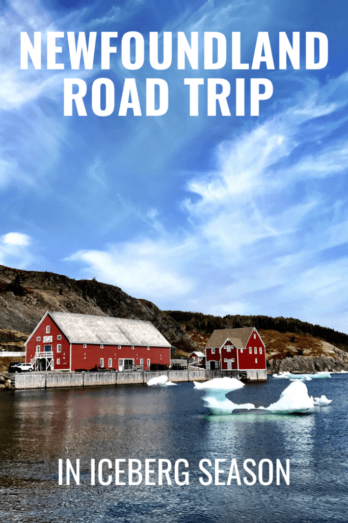 Newfoundland Road Trip - Newfoundland Iceberg Season 