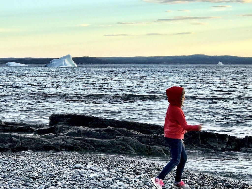 Newfoundland Iceberg Season

