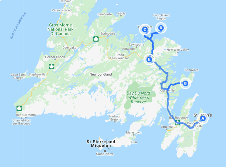 Newfoundland Road Trip Map 768x569 
