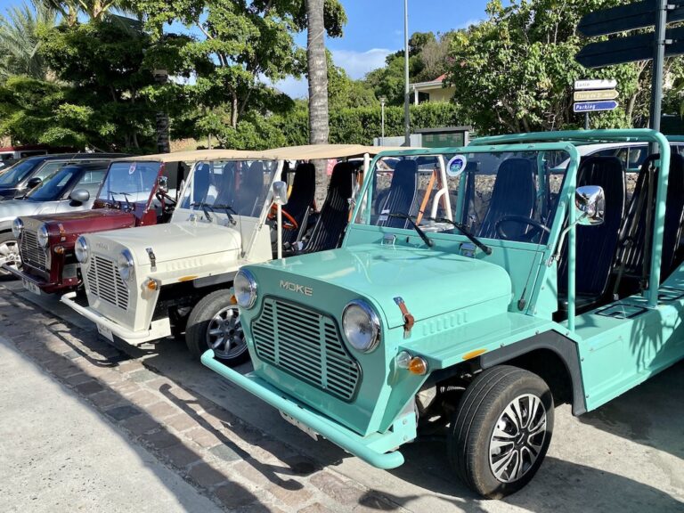 St. Barts Family Vacation A Guide to Visiting St. Barts with Kids