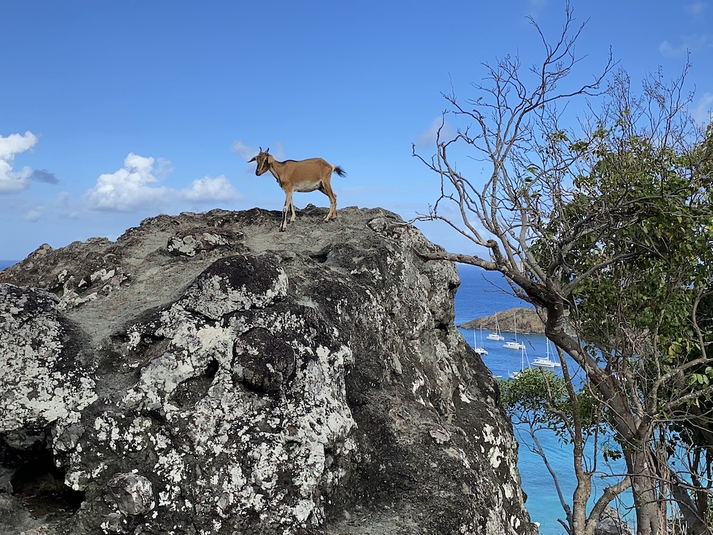 St. Barts Family Vacation – A Guide to Visiting St. Barts with Kids !