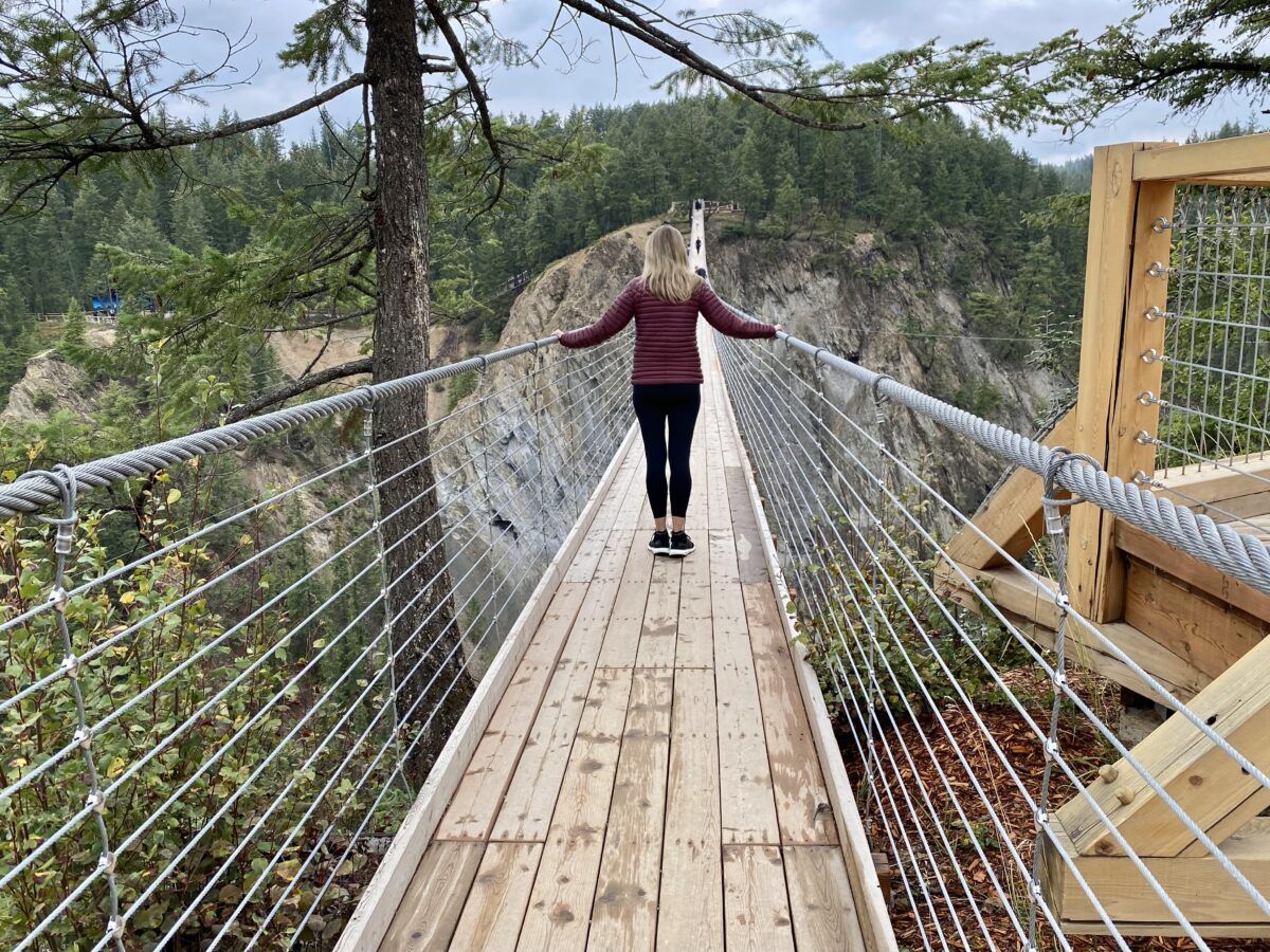 Suspension Bridges Golden BC