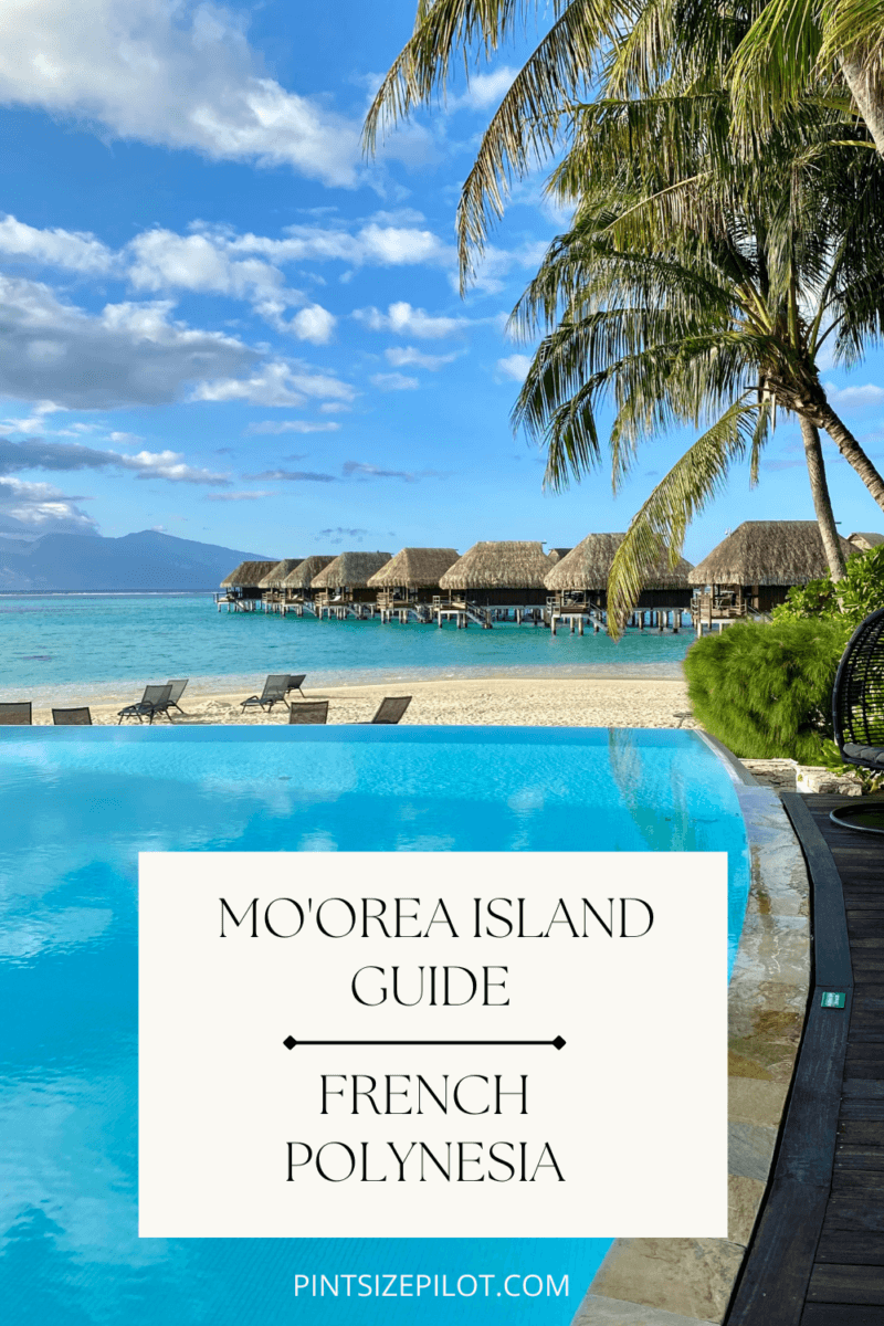 Moorea Island Guide