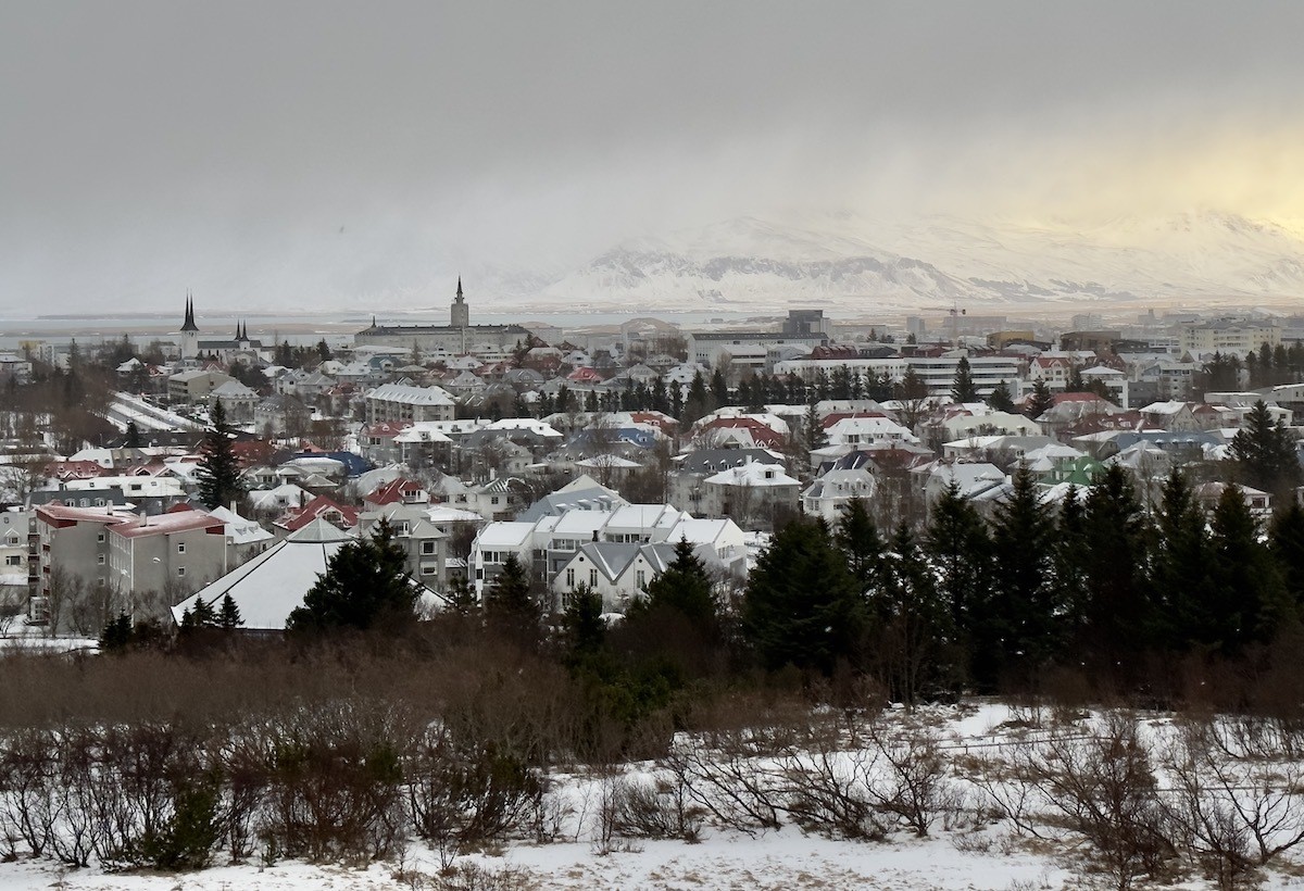 Perlan Museum View in Winter