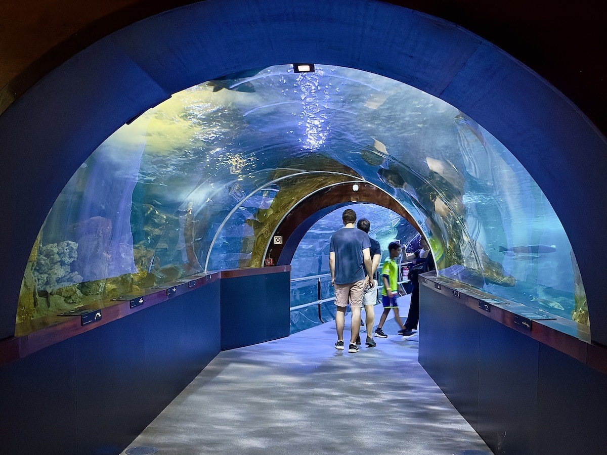 The Aquarium in San Sebastian, Spain