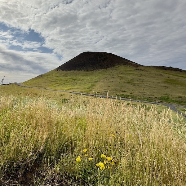 Westman Island Day Tour