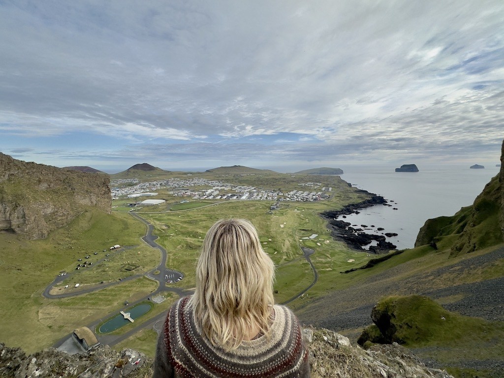 Where to find puffins in Iceland